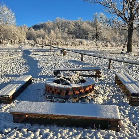 فيلا Casuta Din Stejari-Transalpina Novaci-Străini المظهر الخارجي الصورة